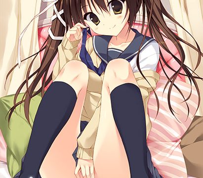 妹のセイイキ【萌えゲーアワード2015 エロス系作品賞PINK 受賞】