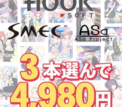 【まとめ買い】HOOKSOFT・SMEE・ASaProject選べるFD3本4，980円
